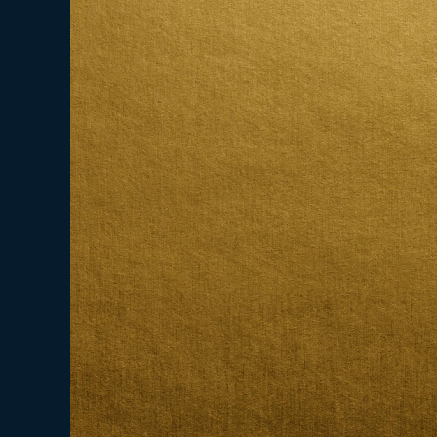 5050_2_L